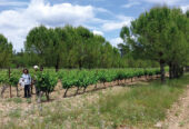 Agrihome Expression