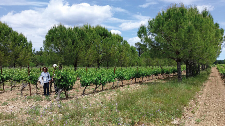Agrihome Expression