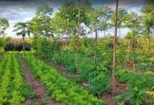Agrihome Expression