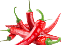 Good Chilli Pepper Production: The Ultimate Guide Chilli pepper production