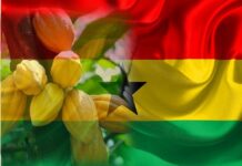 agriculture-in-ghana