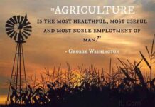 “Eating is an agricultural act” and 3 most profound agricultural quotes 2729b5a3e1e7921e112db4f4c50d3e3e 6 | Nobowa Learn