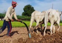 Soil tillage