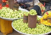 Agriculture in Ghana