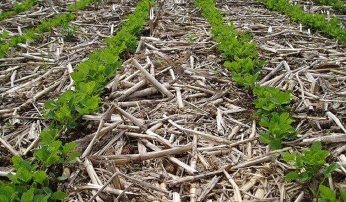 no-till agriculture