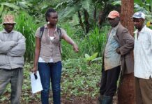19 Pieces of Advice for Young Farmers young farmers