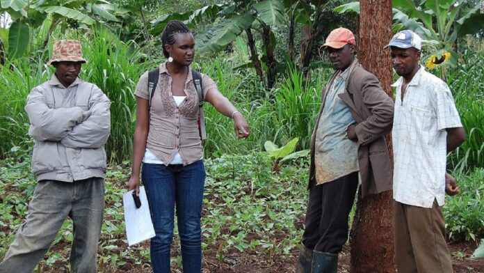 young farmers