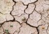 6 Dangerous Soil Problems and Best Solutions soil problems and solutions