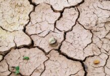 6 Dangerous Soil Problems and Best Solutions soil problems and solutions