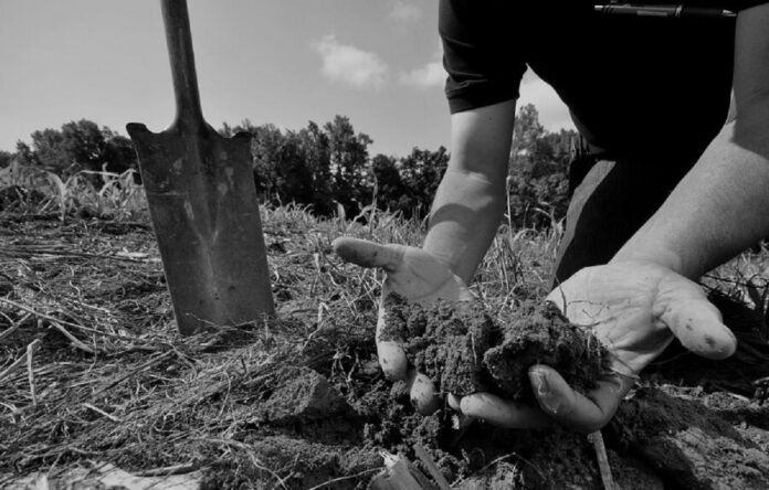 soil tests