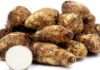 Surprising Nutrition Facts about Cocoyam Roots or Taro (Colocasia esculenta) cocoyam roots nutrition facts
