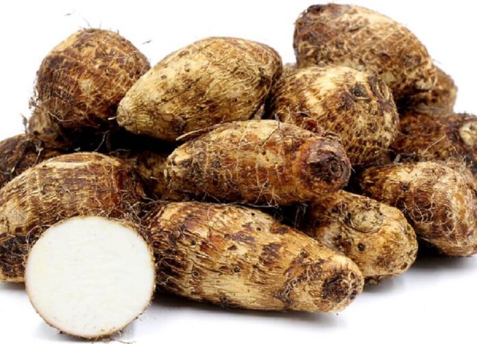 cocoyam roots nutrition facts