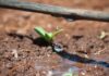 5 Types of Irrigation, Why they are Critical to the Success of Your Crops drip irrigation methods