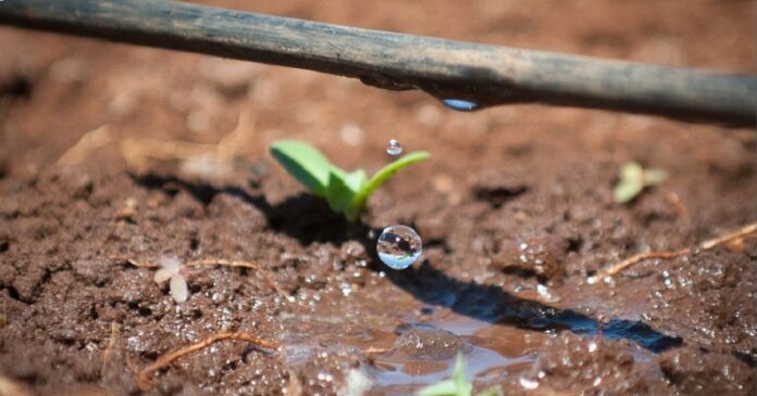 drip irrigation methods