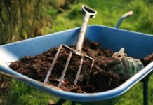 Why is Organic Fertilizer Better for Crops and Soil Improvement? organic fertilizer