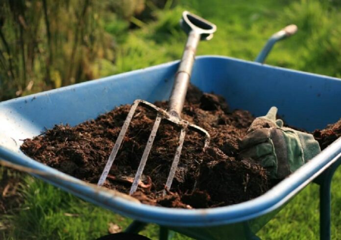 organic fertilizer