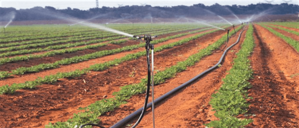 sprinkler irrigation method