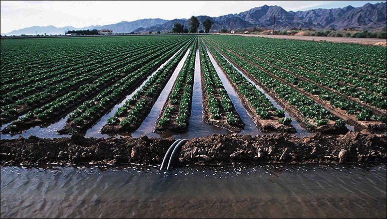 surface irrigation method types of irrigation