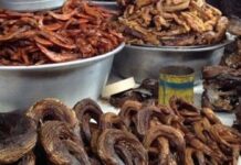 Agriculture in Ghana – Facts & Figures 2015 agriculture-in-ghana