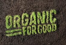 Organic Farming: Types, Principles, Methods and Importance organic farming in africa