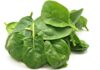 Spinach Health Benefits: 19 Incredible Reasons to Add Spinach to Your Diet spinach health benefits