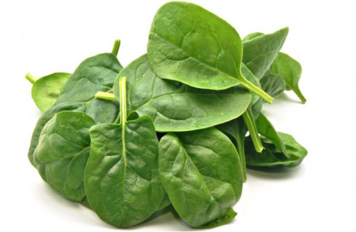 spinach health benefits