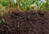 6 Factors that Build or Destroy the Soil Structure Factors-affecting-Soil-Structure