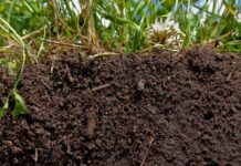 Factors-affecting-Soil-Structure