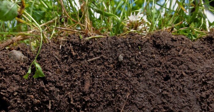 Factors-affecting-Soil-Structure