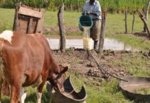 Agricultural Farming Systems: 7 Exclusive Types of and their Unique Features agricultural farming systems