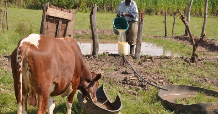 agricultural farming systems