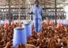 What Makes Successful Poultry Farmers? Avoid these 5 Common Mistakes poultry housing system Successful Poultry Farmers