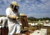 Where is the Best Place to Put Apiary or Beehives in Beekeeping? beehives apiary beekeeping