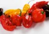 12 Surprising Hot Pepper Health Benefits and Nutrition Facts hot pepper health benefits