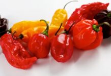 hot pepper health benefits