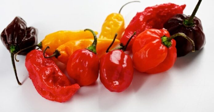 hot pepper health benefits