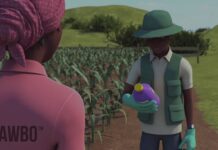 identify fall armyworm