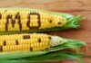 Is GMO the Solution to Sustainable and Productive Agriculture in Africa? GMO Agriculture in Africa