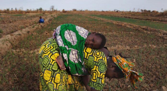 Agriculture Reducing poverty in africa