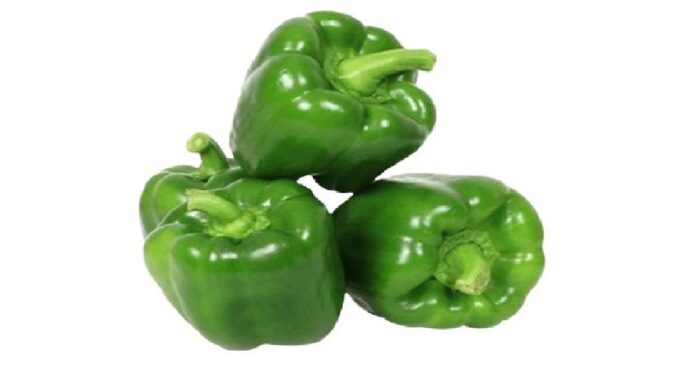 Effect of Different Compost Treatments on The Growth and Yield of Sweet Pepper