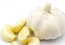7 Immense Health Benefits of Raw Garlic and How to Get Rid of Scent after taking it Health benefits of raw garlic