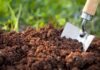 4 Secrets about Chemical Soil Test and Analysis For Soil Quality Improvement chemical soil testing and analysis