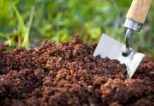 4 Secrets about Chemical Soil Test and Analysis For Soil Quality Improvement chemical soil testing and analysis
