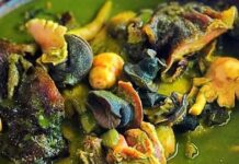 6 Super Health Benefits of Snail, But… health benefits of snail