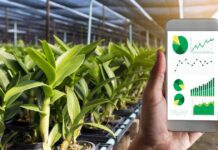 What Has Been the Positive Impact of ICT In Agriculture in Africa? ICT In Agriculture in Africa
