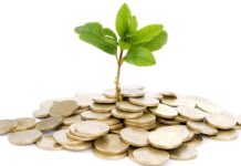 Raise Money to Start a Farm; 5 Possible and Effective Ways Raise-Money-to-Start-a-Farm