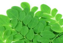 health benefits of moringa oleifera