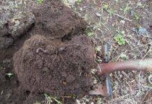 build high-quality soil
