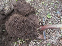 build high-quality soil