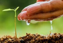 Choosing Your Perfect Irrigation Method: 8 Essential Factors for Optimum Crop Yields selecting irrigation method system